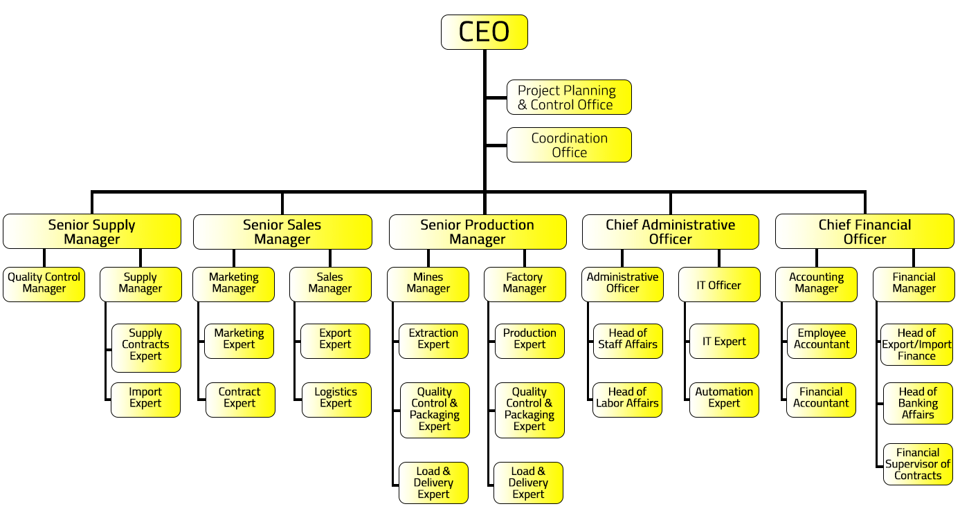 PetroNaft Company Organization Chart